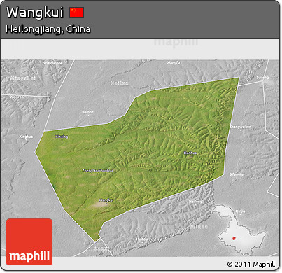 Satellite 3D Map of Wangkui, lighten, desaturated
