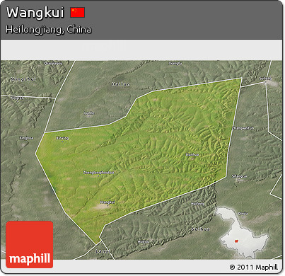 Satellite 3D Map of Wangkui, semi-desaturated