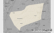 Shaded Relief 3D Map of Wangkui, darken, desaturated