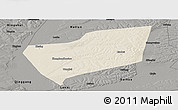 Shaded Relief Panoramic Map of Wangkui, darken, semi-desaturated