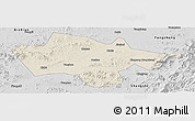 Shaded Relief Panoramic Map of Yanshou, desaturated