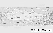 Silver Style Panoramic Map of Yanshou