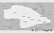 Gray Panoramic Map of Zhaodong