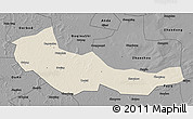 Shaded Relief 3D Map of Zhaoyuan, darken, desaturated