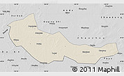 Shaded Relief Map of Zhaoyuan, desaturated