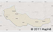 Shaded Relief Map of Zhaoyuan, lighten, semi-desaturated