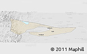 Shaded Relief Panoramic Map of Anyang, lighten, desaturated