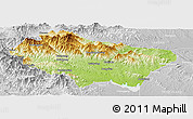 Physical Panoramic Map of Nanzhao, lighten, desaturated