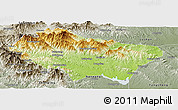 Physical Panoramic Map of Nanzhao, semi-desaturated
