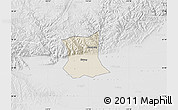 Shaded Relief Map of Qinyang, lighten, desaturated