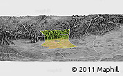 Satellite Panoramic Map of Qinyang, desaturated