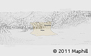 Shaded Relief Panoramic Map of Qinyang, lighten, desaturated