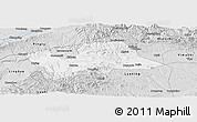 Silver Style Panoramic Map of Shan Xian