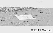 Gray Panoramic Map of Wen Xian