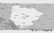 Gray Panoramic Map of Xinyang