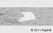Gray Panoramic Map of Xinzheng