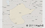 Shaded Relief Map of Zhengyang, semi-desaturated