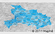 Political Shades 3D Map of Hubei, lighten, desaturated