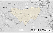 Shaded Relief 3D Map of Anlu, desaturated