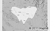 Gray Map of Anlu