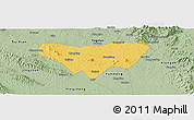 Savanna Style Panoramic Map of Anlu