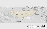 Shaded Relief Panoramic Map of Anlu, desaturated