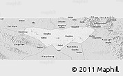 Silver Style Panoramic Map of Anlu