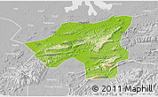Physical 3D Map of Chongyang, lighten, desaturated