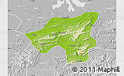 Physical Map of Chongyang, lighten, desaturated