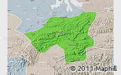 Political Map of Chongyang, lighten, semi-desaturated
