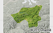 Satellite Map of Chongyang, lighten, semi-desaturated