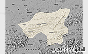 Shaded Relief Map of Chongyang, darken, desaturated
