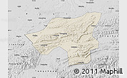 Shaded Relief Map of Chongyang, desaturated