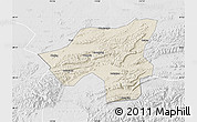 Shaded Relief Map of Chongyang, lighten, desaturated