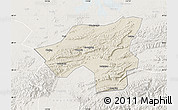 Shaded Relief Map of Chongyang, lighten