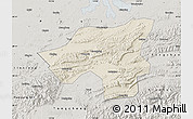 Shaded Relief Map of Chongyang, semi-desaturated