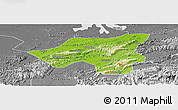 Physical Panoramic Map of Chongyang, desaturated