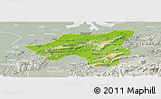 Physical Panoramic Map of Chongyang, lighten, semi-desaturated