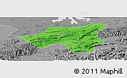 Political Panoramic Map of Chongyang, desaturated