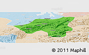 Political Panoramic Map of Chongyang, lighten