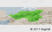 Political Panoramic Map of Chongyang, lighten, semi-desaturated