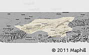 Shaded Relief Panoramic Map of Chongyang, darken, desaturated