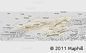 Shaded Relief Panoramic Map of Chongyang, desaturated