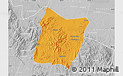 Political Map of Dawu, lighten, desaturated