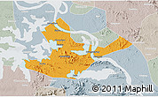 Political 3D Map of Daye, lighten, semi-desaturated