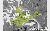 Satellite Map of Daye, desaturated