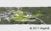 Satellite Panoramic Map of Daye, darken, semi-desaturated