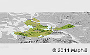 Satellite Panoramic Map of Daye, lighten, desaturated