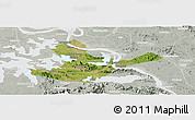 Satellite Panoramic Map of Daye, lighten, semi-desaturated