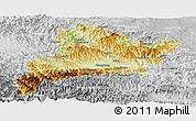 Physical Panoramic Map of Fangxian, lighten, desaturated